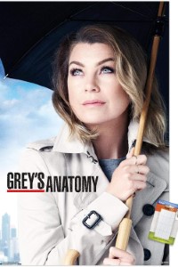 Download Grey’s Anatomy (Season 1-19) [S19E20 Added] {English With Subtitles} 720p Bluray [280MB] || 1080p [1GB]